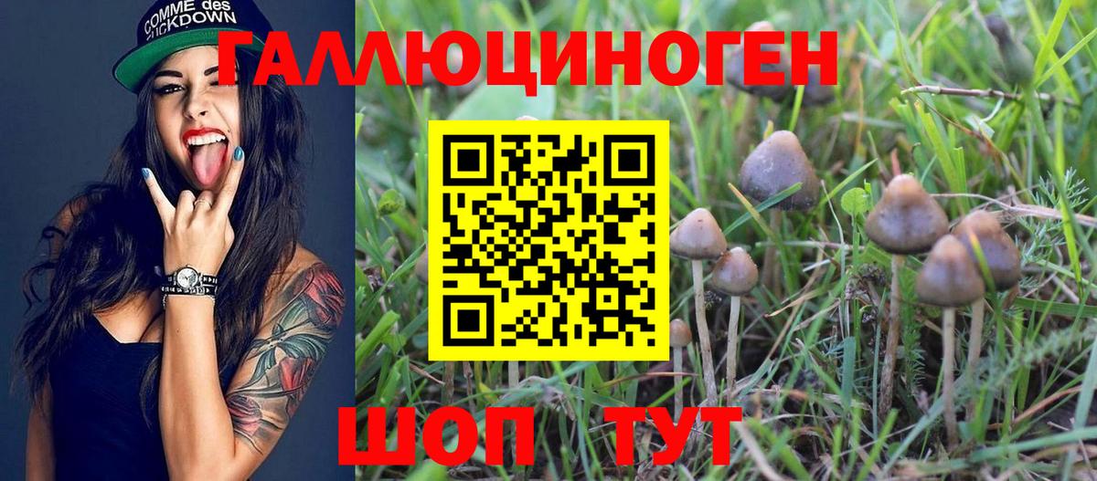 Галлюциногенные грибы Psilocybe  Вход с VPN  Галлюциногенные грибы GOLDEN TEACHER  Строитель 